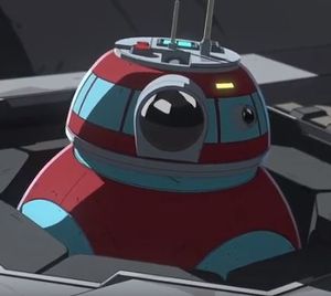 CB-23.jpg